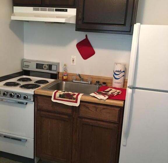 شقة غرفة واحدة, Big Bear Lodge