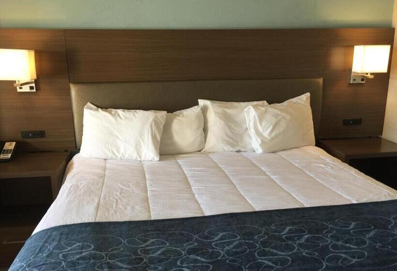 غرفة قياسية سرير كينج, Inn Of The Conchos