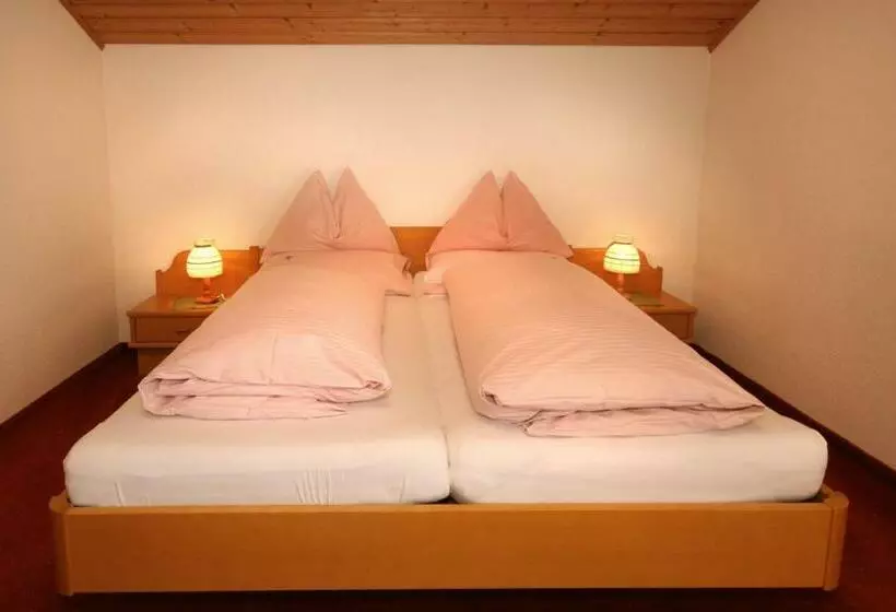 Standard Yhden Hengen Huone, Pension Speckmoser