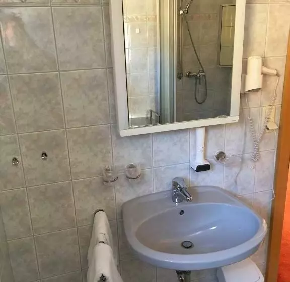 Standard-huone, Pension Speckmoser