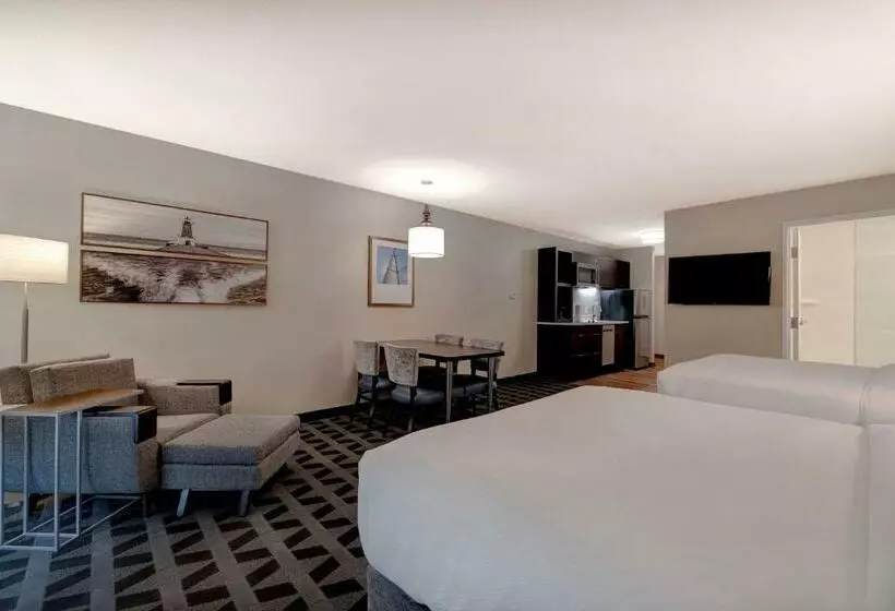 スタンダードスタジオ, Towneplace Suites By Marriott Monroe
