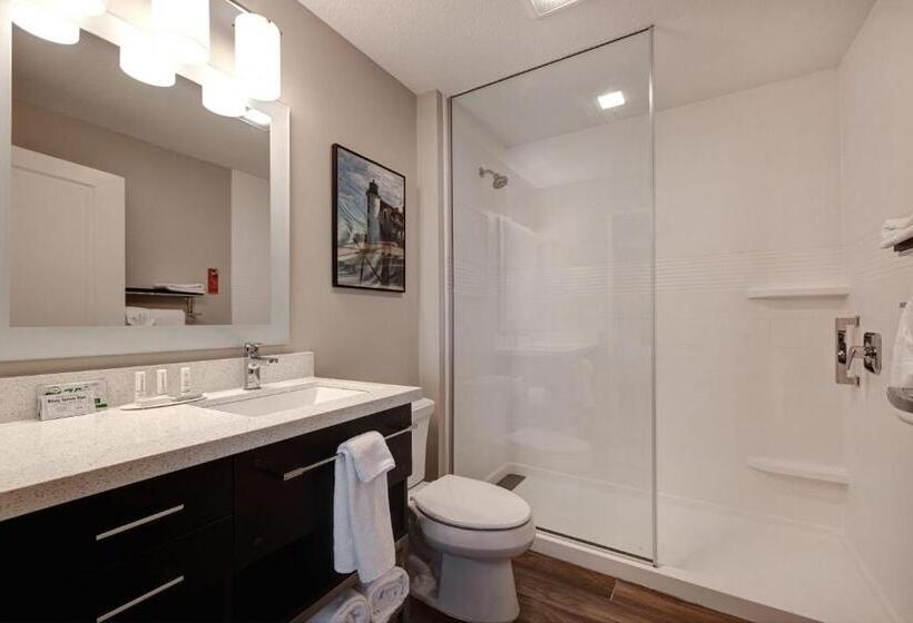 Студио Стандарт Кровать Кинг, Towneplace Suites By Marriott Monroe