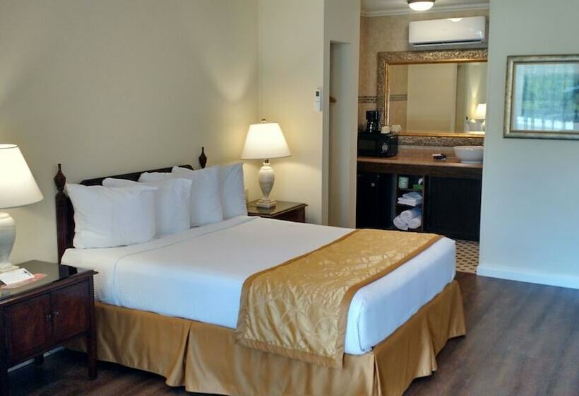 חדר דלוקס יחיד, Townsend Gateway Inn