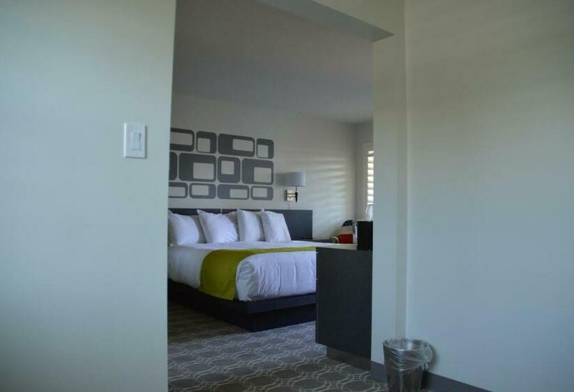 Люкс Кровать Кинг, University Inn Asu/tempe