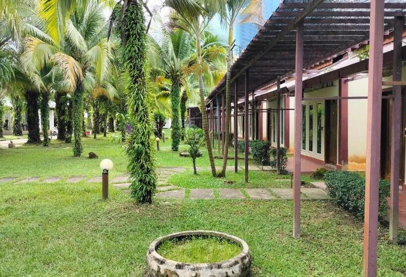 بنجلو قياسى مطلّ علي الحديقة, 双棕榈度假村