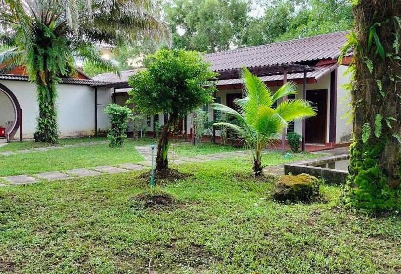 غرفة قياسية, 双棕榈度假村