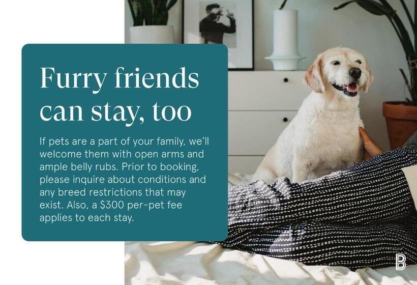 آپارتمان 2 خوابه, Aurora Condos By Barsala