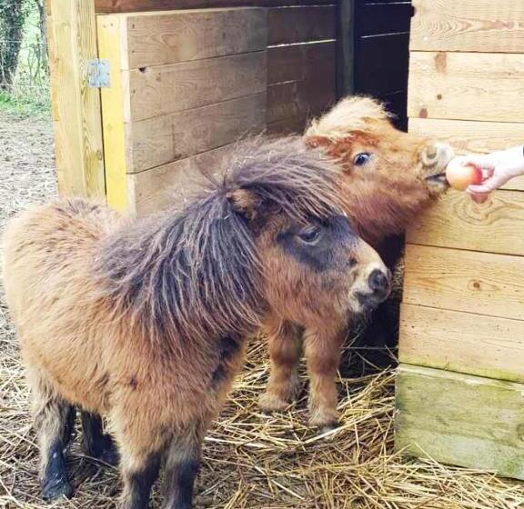 标准间, Au Pied De La Colline