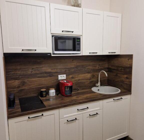 침실 1개 디럭스 아파트, Bizi House Accommodation