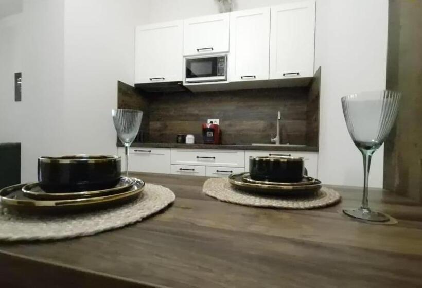 침실 1개 디럭스 아파트, Bizi House Accommodation