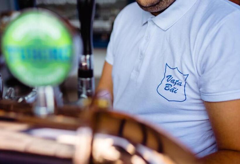 スタンダードルーム, Complex Vața Băi