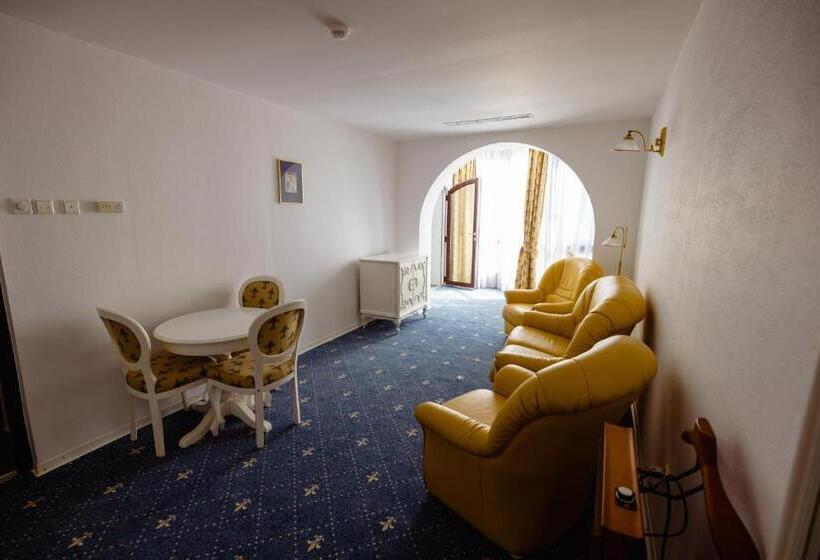 Апартаменты 1 Спальня, Complex Vața Băi