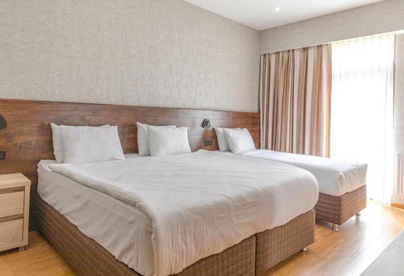 اتاق استاندارد سه نفره, Hilltop Management Group