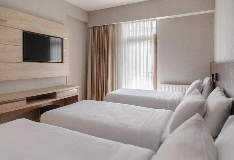 اتاق استاندارد سه نفره, Hilltop Management Group