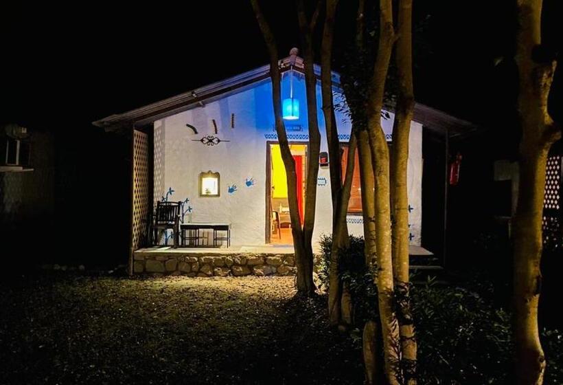 スタンダードルーム, Mahaseer Eco Village & Resort