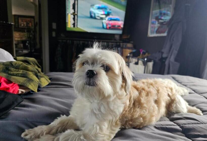 غرفة ديلوكس ثلاثية, Cozy Cove Suite