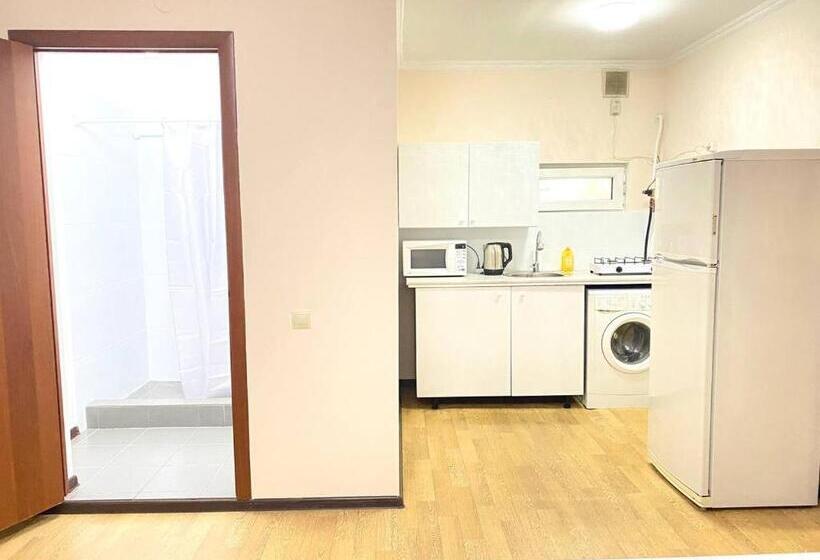 آپارتمان 1 خوابه, Town House, Metro Raiymbek