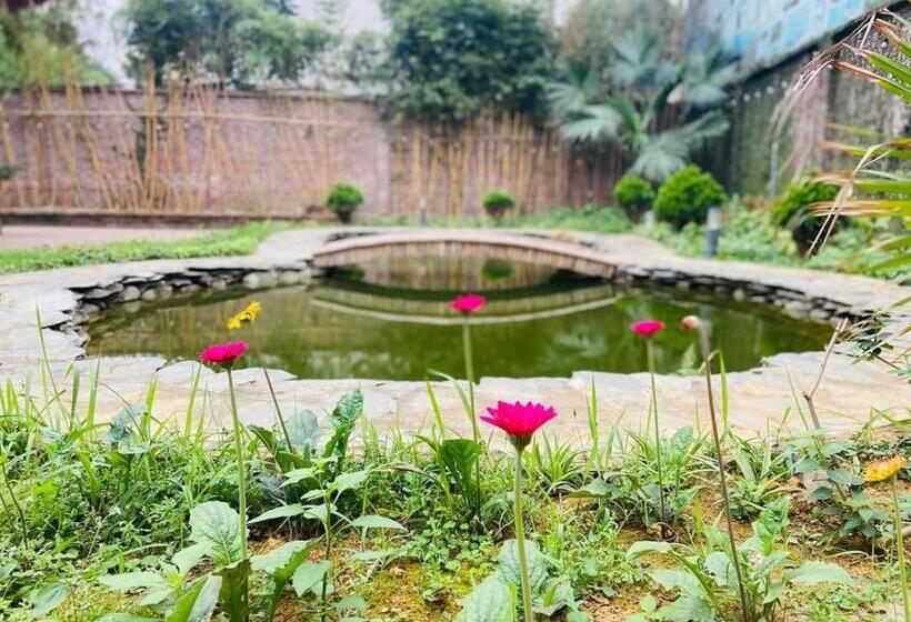 بانگلوی لوکس, Biển đông Complex