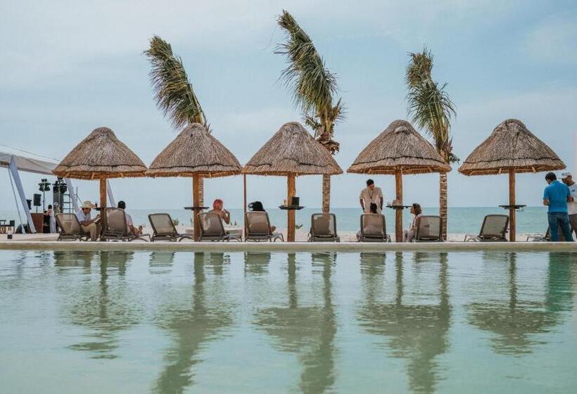 اتاق استاندارد با چشمانداز دریا, Tótem Beach Club