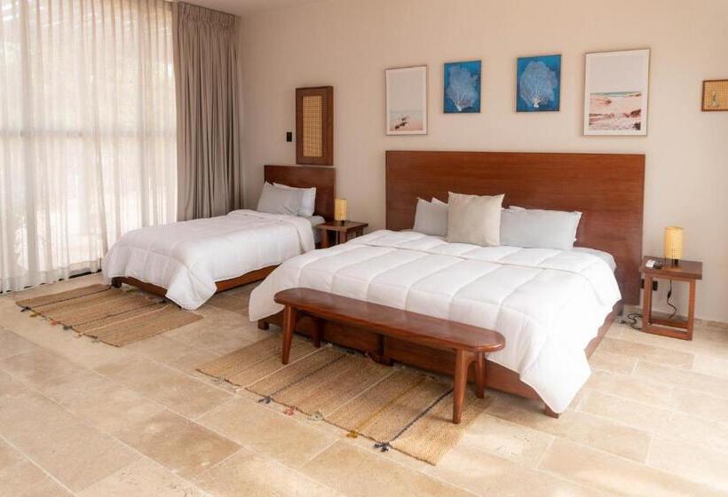 اتاق لوکس با چشمانداز دریا, Tótem Beach Club