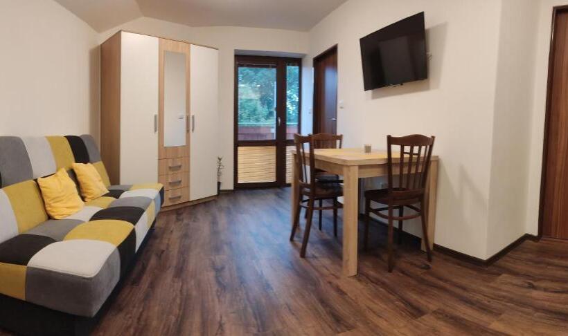 バルコニー付き1ベッドルームアパートメント, Penzion Bystřička