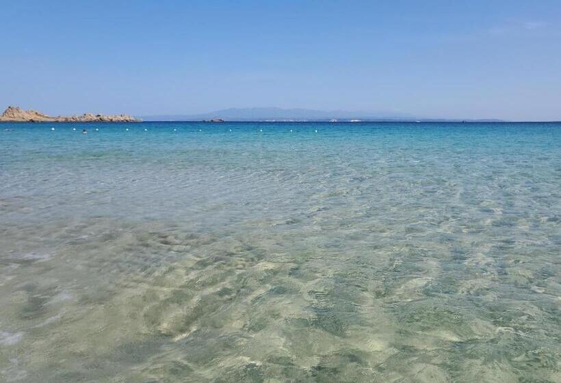 带1个卧室带泳池的公寓, Casa Azzurra Residence Gallo Dì Gallura