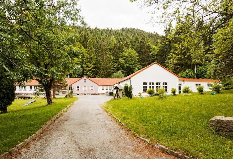 스탠다드 싱글 룸, Ferienpark Thüringer Wald