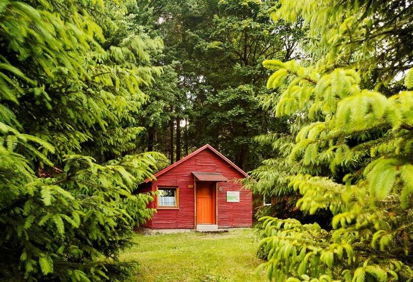 스탠다드 방갈로, Ferienpark Thüringer Wald