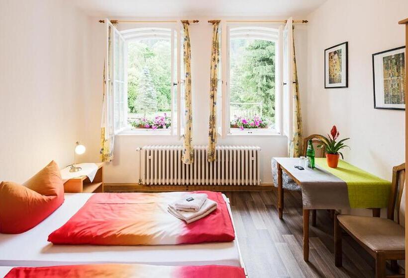 스탠다드 싱글 룸 공동욕실, Ferienpark Thüringer Wald