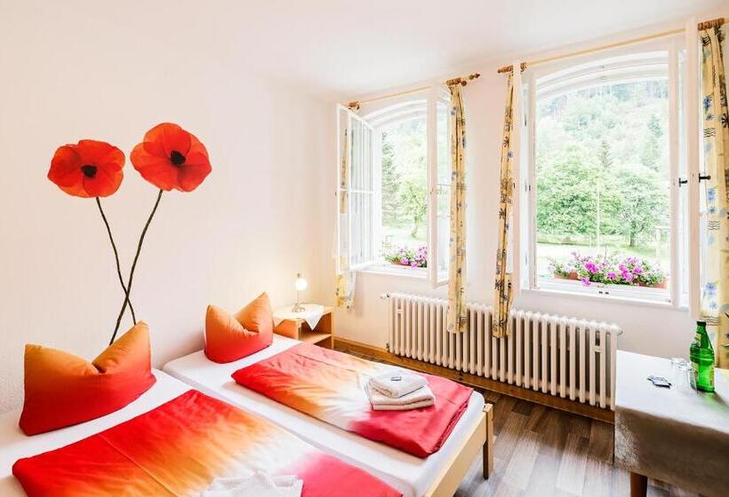 스탠다드 룸 공동 욕실, Ferienpark Thüringer Wald