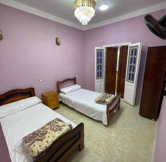 اتاق لوکس, Desert Escape Siwa With Palm & Olive Garden Hot Spring