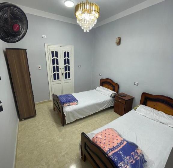 اتاق لوکس, Desert Escape Siwa With Palm & Olive Garden Hot Spring