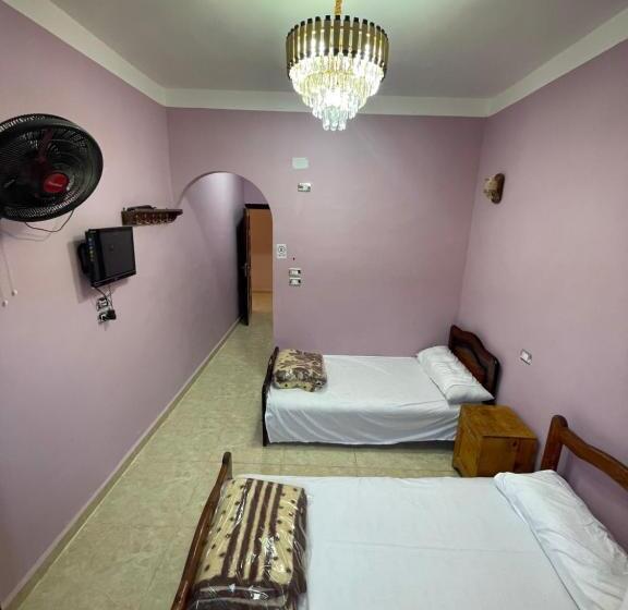 اتاق لوکس, Desert Escape Siwa With Palm & Olive Garden Hot Spring