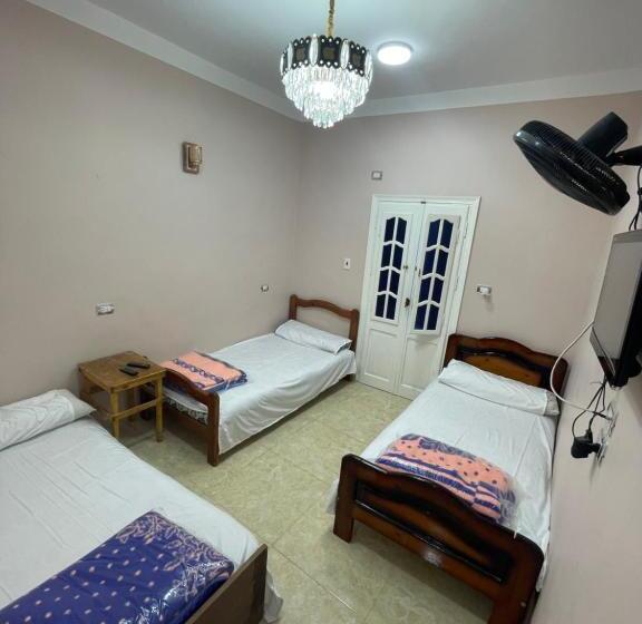 اتاق لوکس سه تخته, Desert Escape Siwa With Palm & Olive Garden Hot Spring