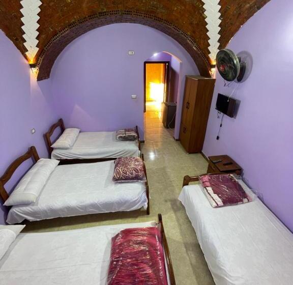 تختخواب در اتاق مشترک, Desert Escape Siwa With Palm & Olive Garden Hot Spring