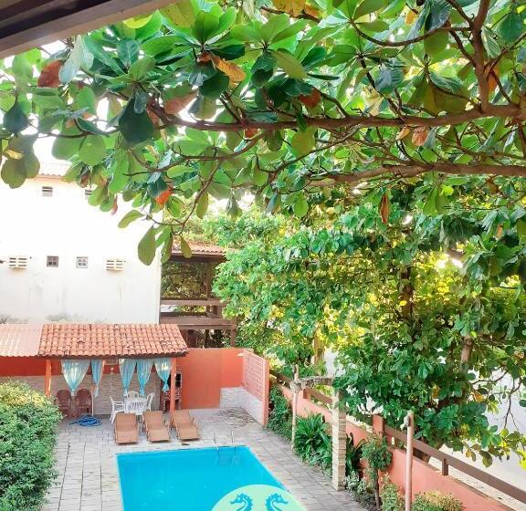 高级大房间, Pousada Hippocampus