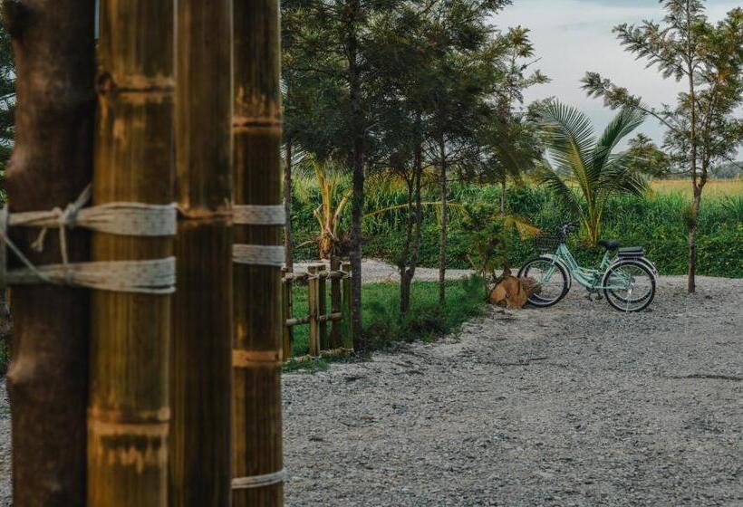 스탠다드 룸, Stay Pilafarm