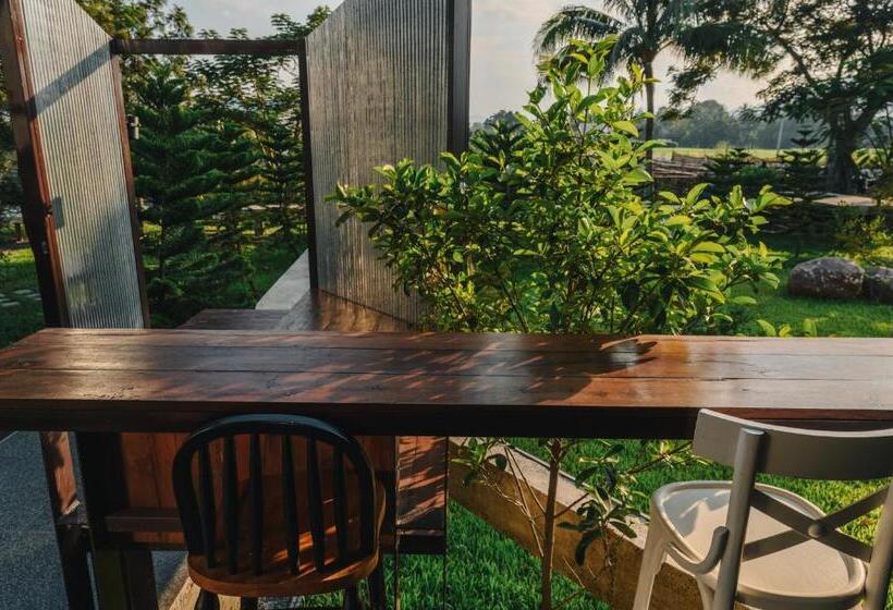 스탠다드 룸, Stay Pilafarm