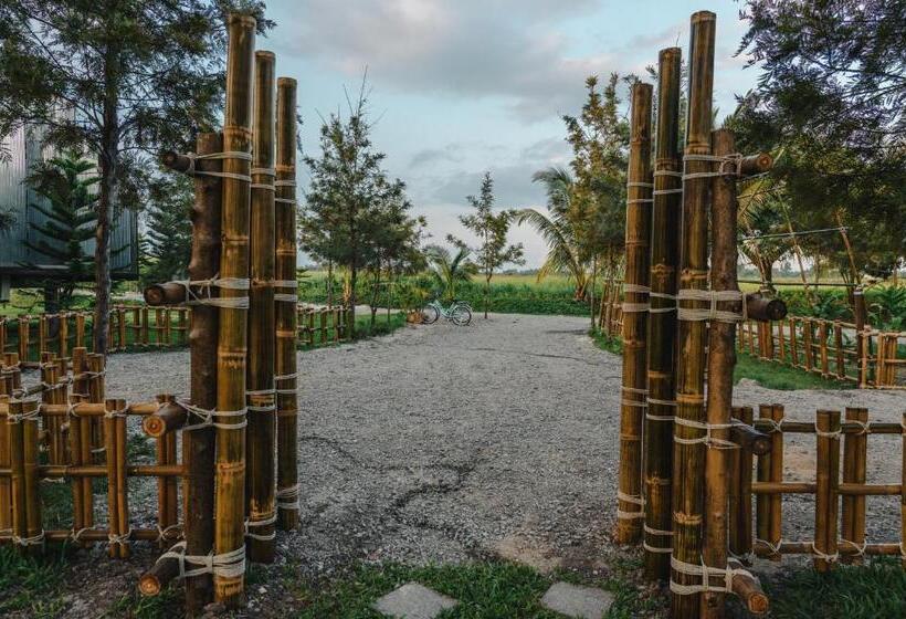 패밀리 룸, Stay Pilafarm