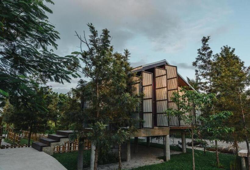 패밀리 룸, Stay Pilafarm