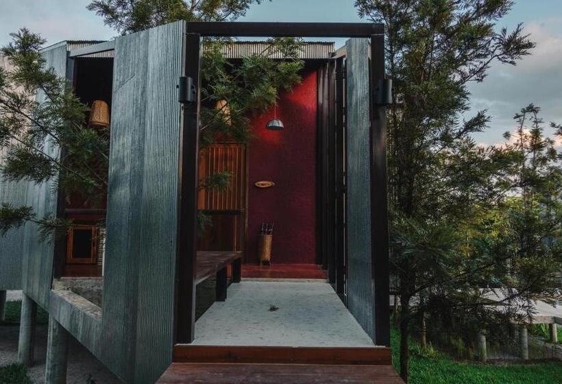 패밀리 룸, Stay Pilafarm