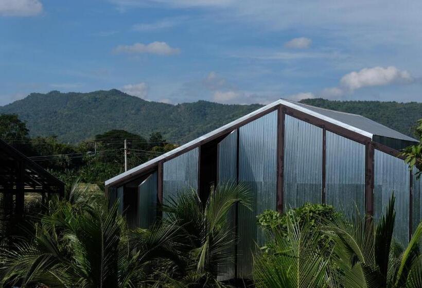 패밀리 스위트, Stay Pilafarm