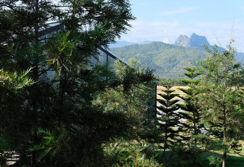 패밀리 룸, Stay Pilafarm