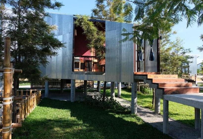 패밀리 룸, Stay Pilafarm