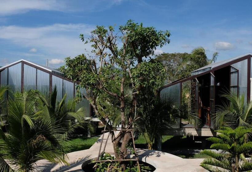 패밀리 스위트, Stay Pilafarm