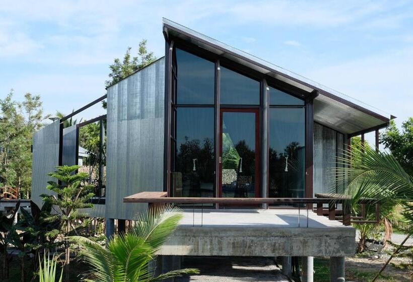 패밀리 스위트, Stay Pilafarm