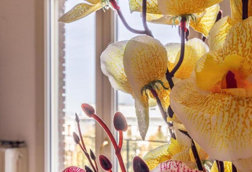 اتاق اکونومی یک تخته, Casa Della Musica Affitti Brevi Italia