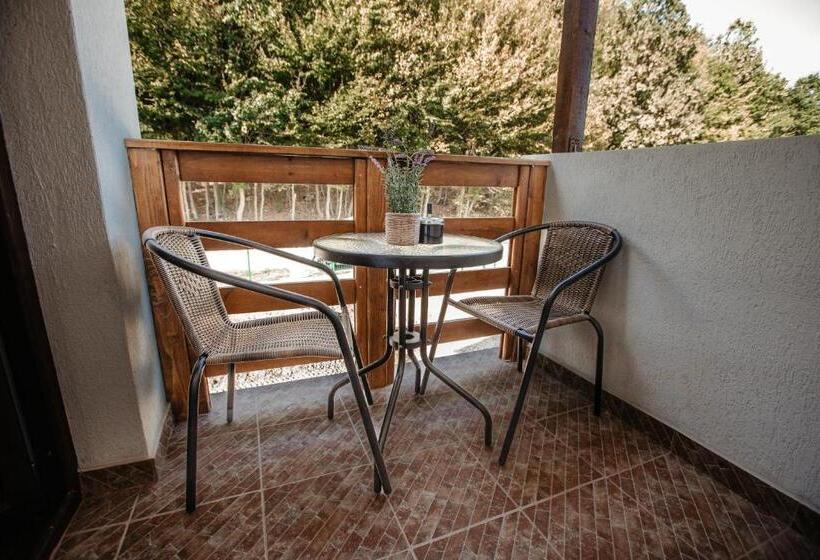 1间卧室的房子, Pensiunea Cristina