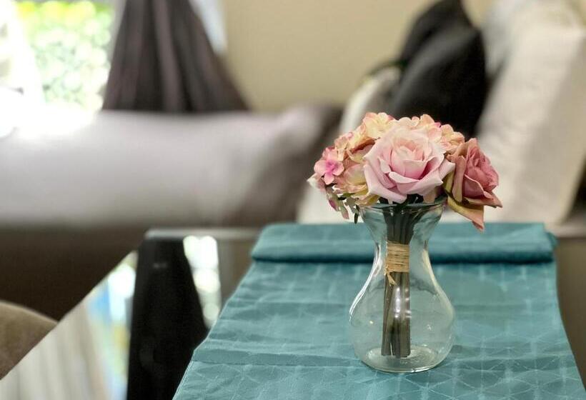 استودیوی استاندارد, Riala Studio B
