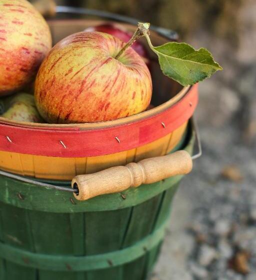 Апартаменты 1 Спальня, Magnolia Ad Antico Casale  700